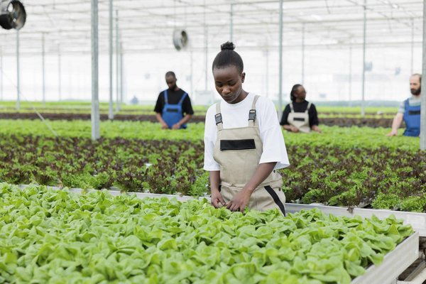 Quali sono i migliori metodi non farmacologici per il trattamento dell'insonnia cronica?